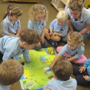Downside Nursery Image 2