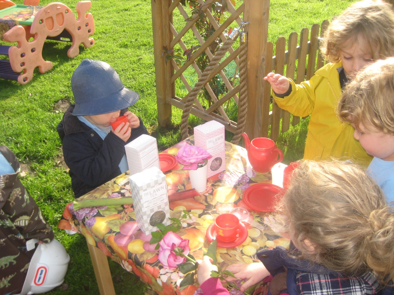Tea on the lawn!